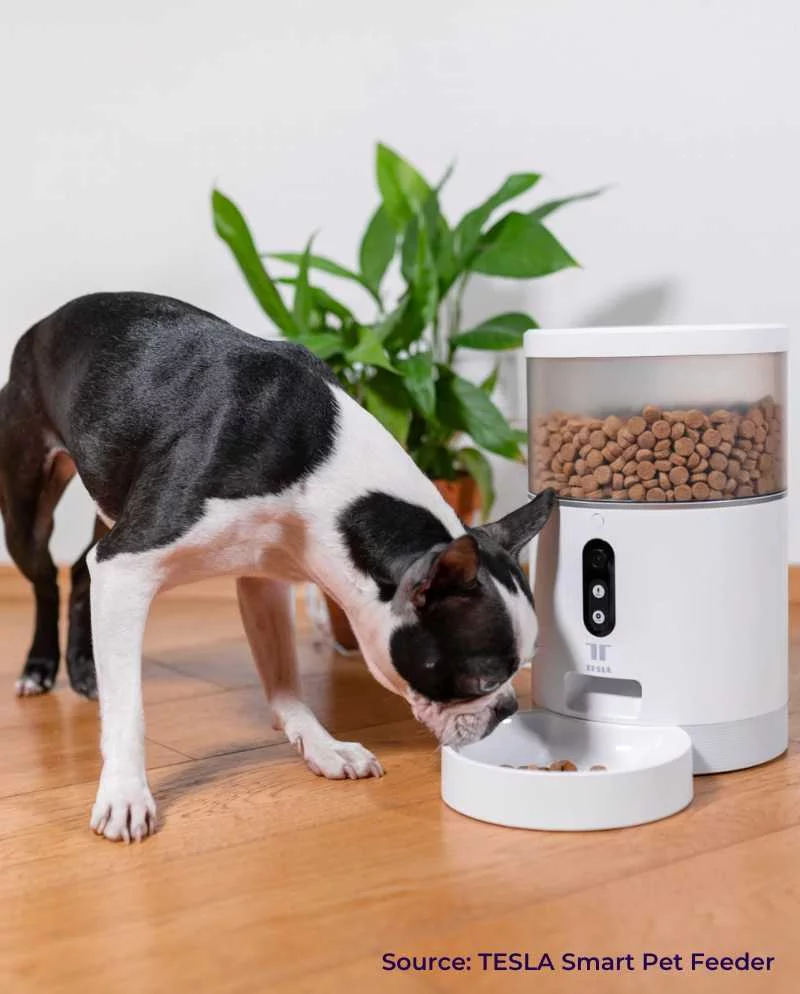 AI-powered smart pet feeder for automated pet care monitoring
