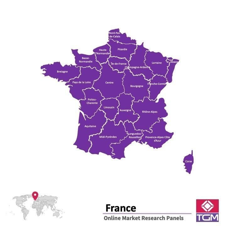 Online panel in France 