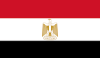 Egypt Ride-Hailing Insights 2026 Report Flag