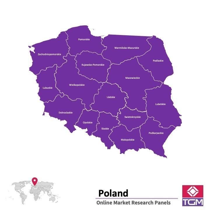 Online panel in Poland 
