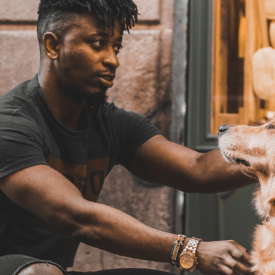 Download TGM Pet Care Report 2023| Insights on Pet Owners in Nigeria