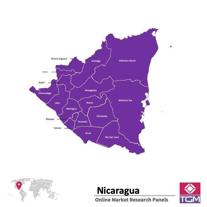 Online panel in Nicaragua 