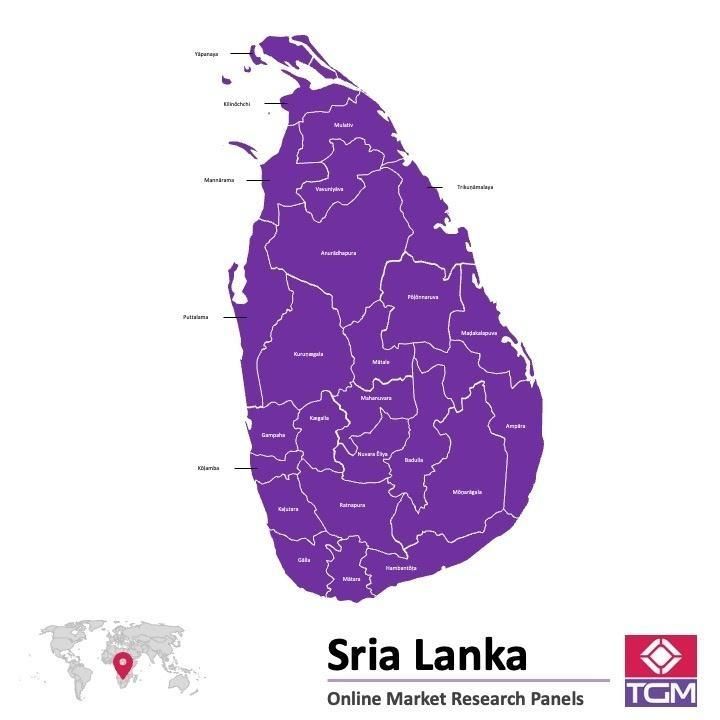 Online panel in Sri Lanka 
