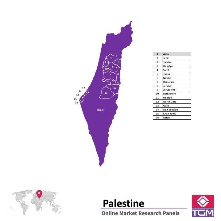 Online panel in Palestine 