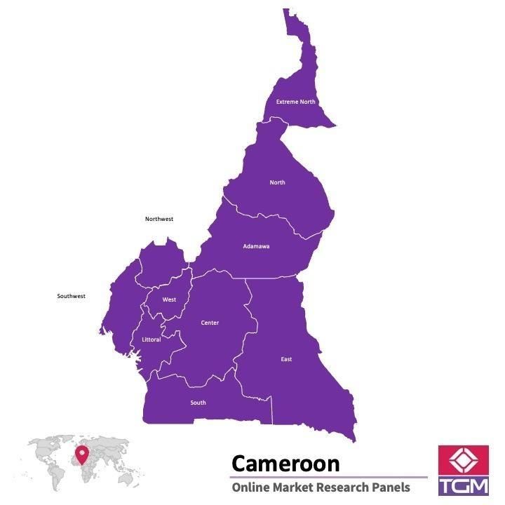 Online panel in Cameroon 