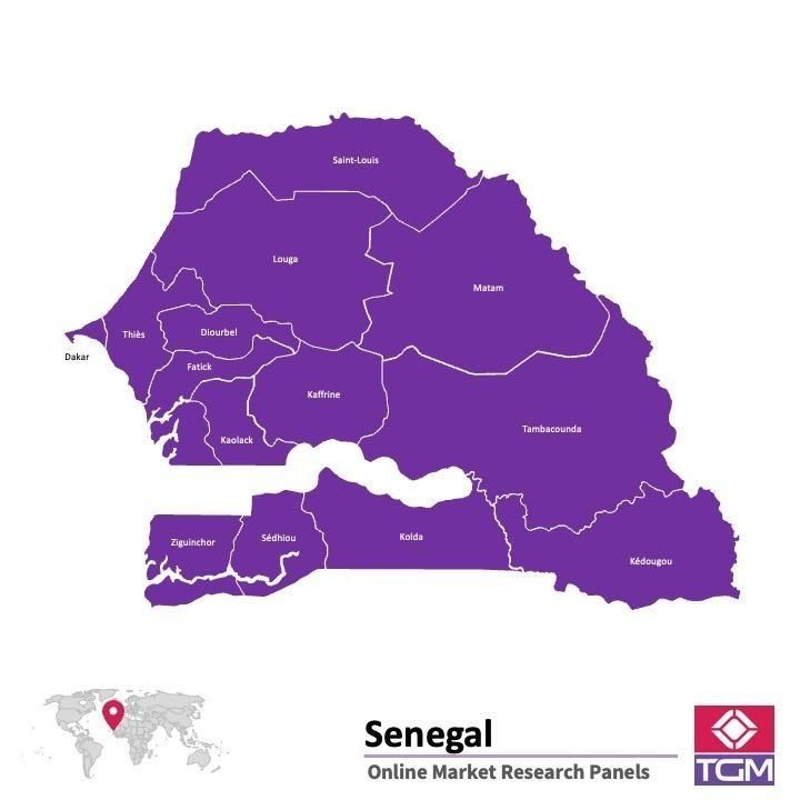 Online panel in Senegal 
