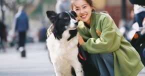 The pampered pets of Southeast Asia 