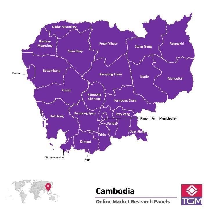 Online panel in Cambodia 