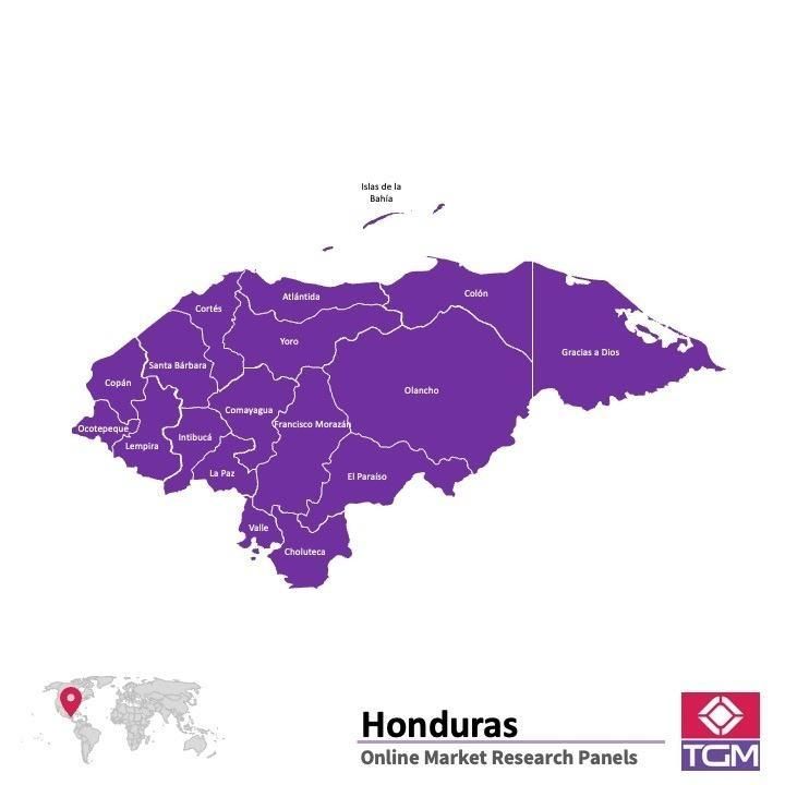 Online panel in Honduras 