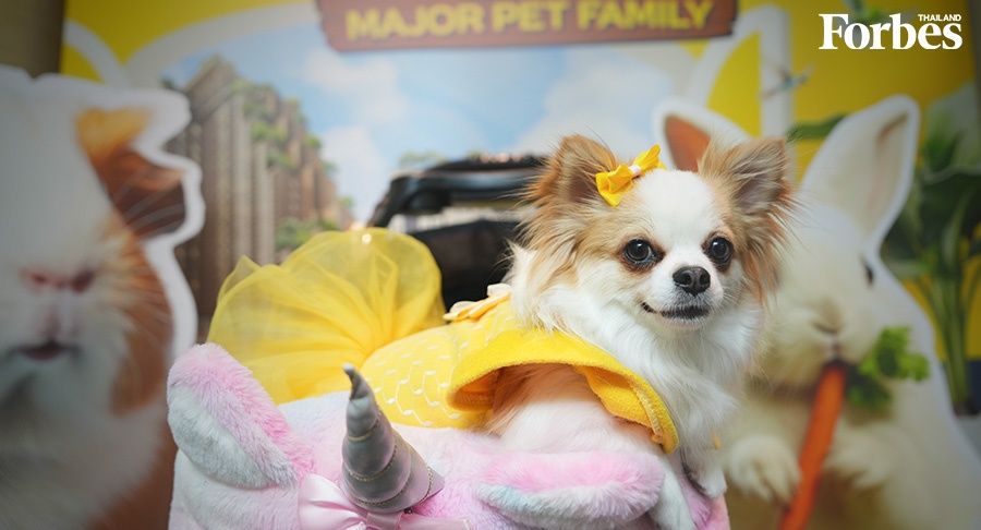 Insights that Empower Business Growth