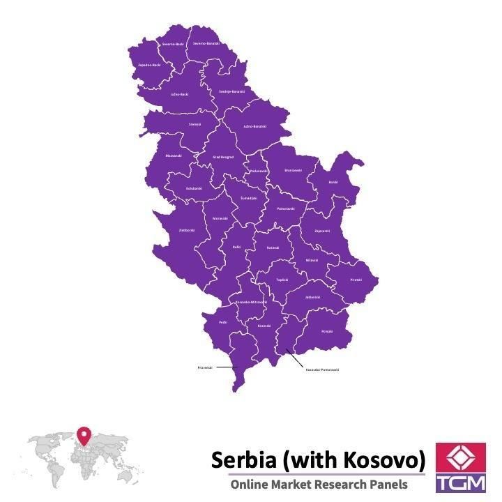 Online panel in Serbia 