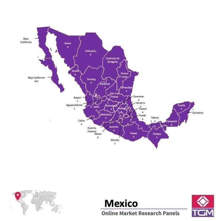 Online panel in Mexico 