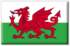Wales World Cup insights & data research