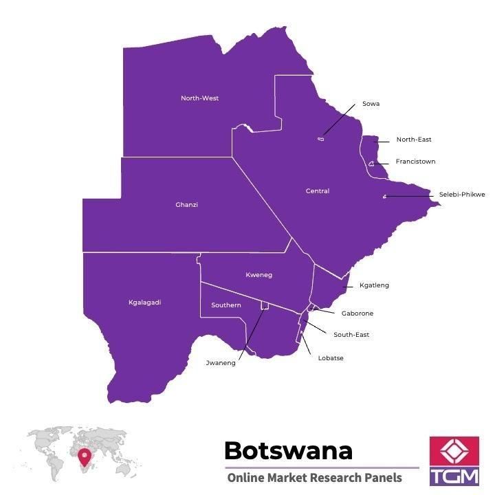 Online panel in Botswana 