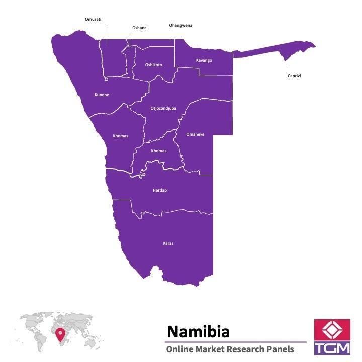 Online panel in Namibia 