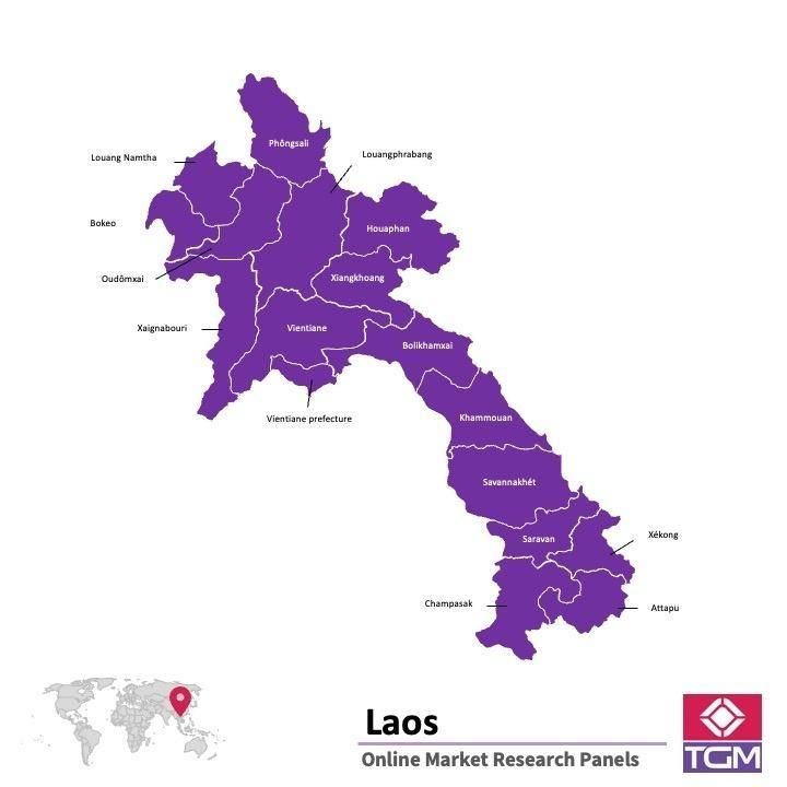 Online panel in Laos 