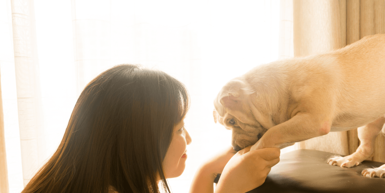 Download TGM Pet Care Report 2023| Insights on Pet Owners in Japan.