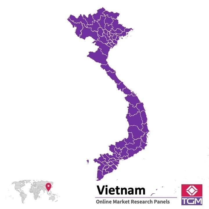 Online panel in Vietnam 