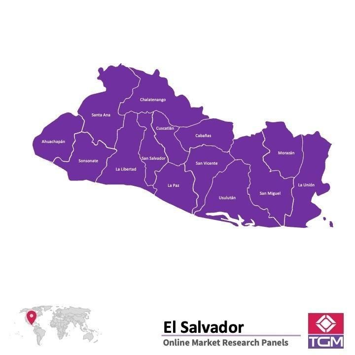 Online panel in El Salvador 