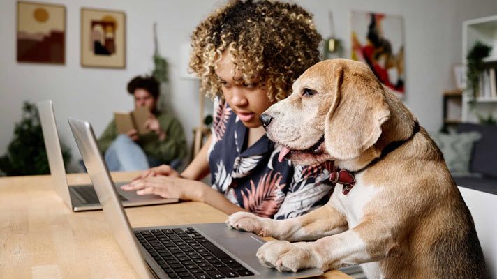 Pet Care E-commerce 2026: How Pet Humanization Is Driving Online Demand in Europe