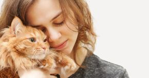 Pet Care in Turkey 2026 vs.2024 - A Potential Economy Powered by Cat Lovers