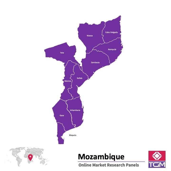 Online panel in Mozambique 