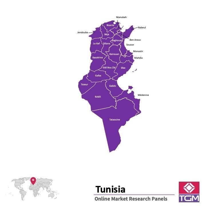 Online panel in Tunisia 