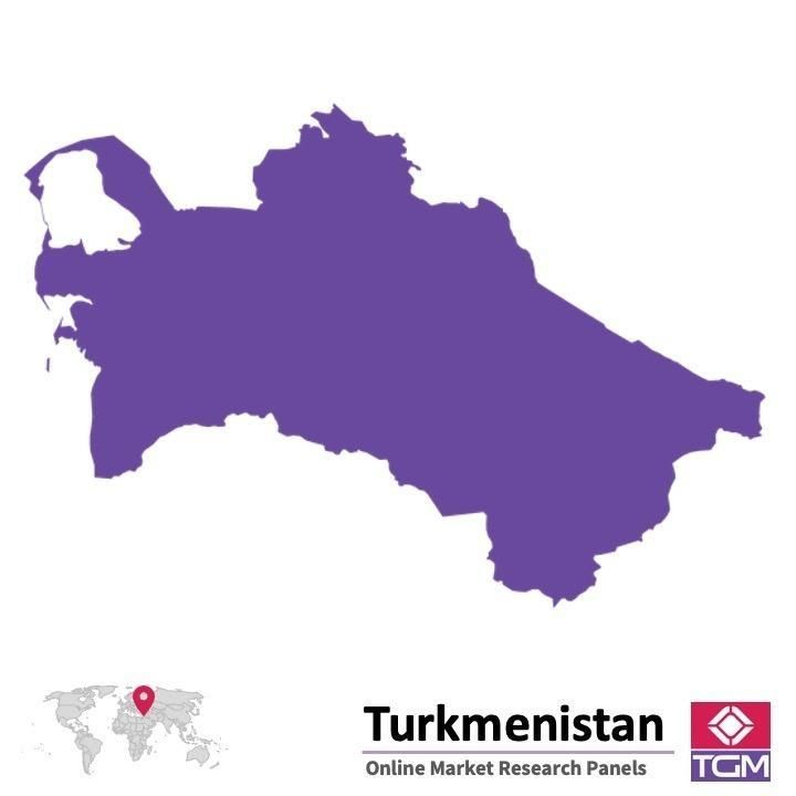 Online panel in Turkmenistan 