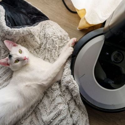 China Pet Care Tech 2026: What Owners Buy vs. What They Hesitate On 