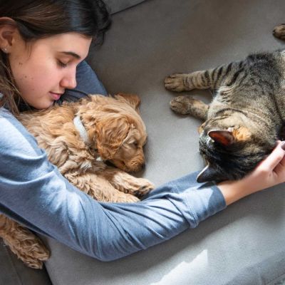 How Modern Pet Ownership Impacts on Everyday Life in APAC 