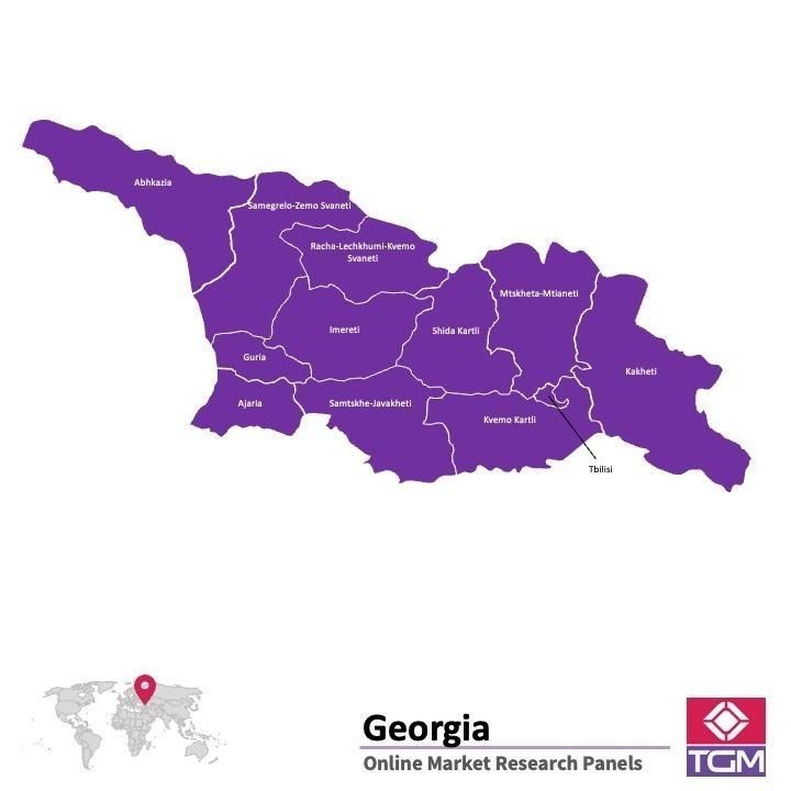 Online panel in Georgia 