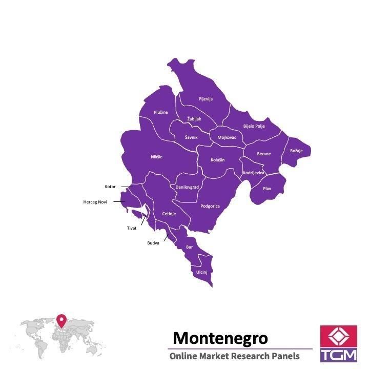 Online panel in Montenegro 