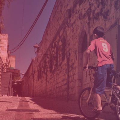 Get Rapid Results in Palestine with TGM Omnibus Research Solutions