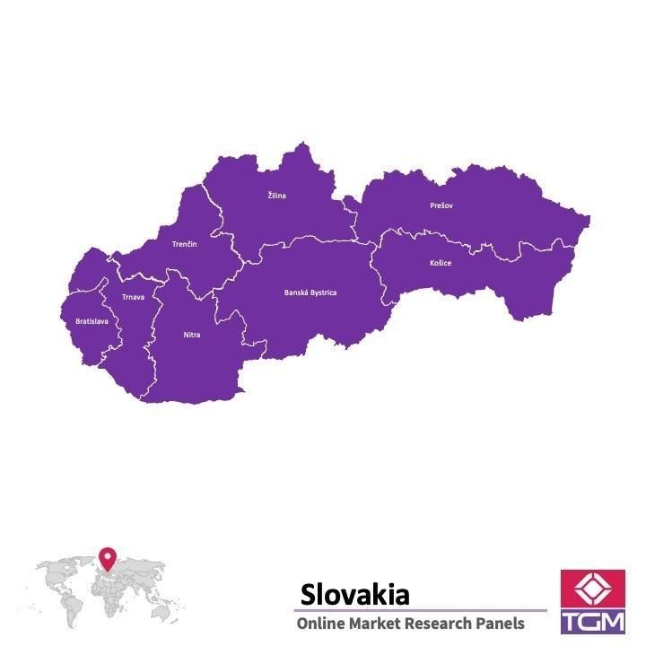 Online panel in Slovakia 