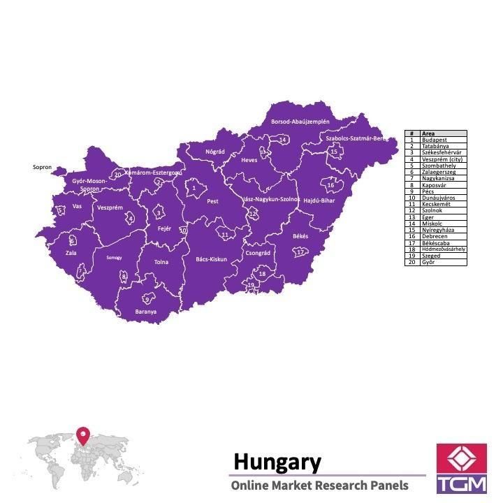 Online panel in Hungary 