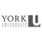 Academic Research for York University