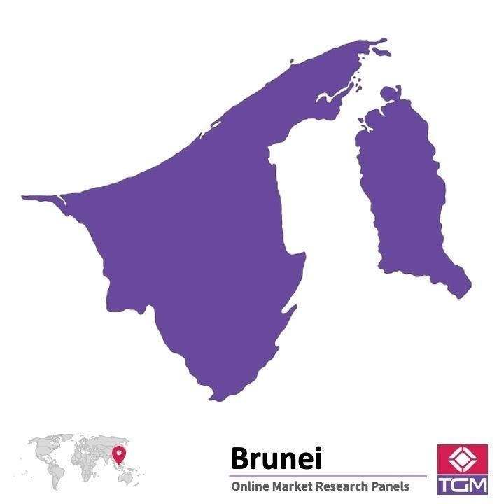 Online panel in Brunei 