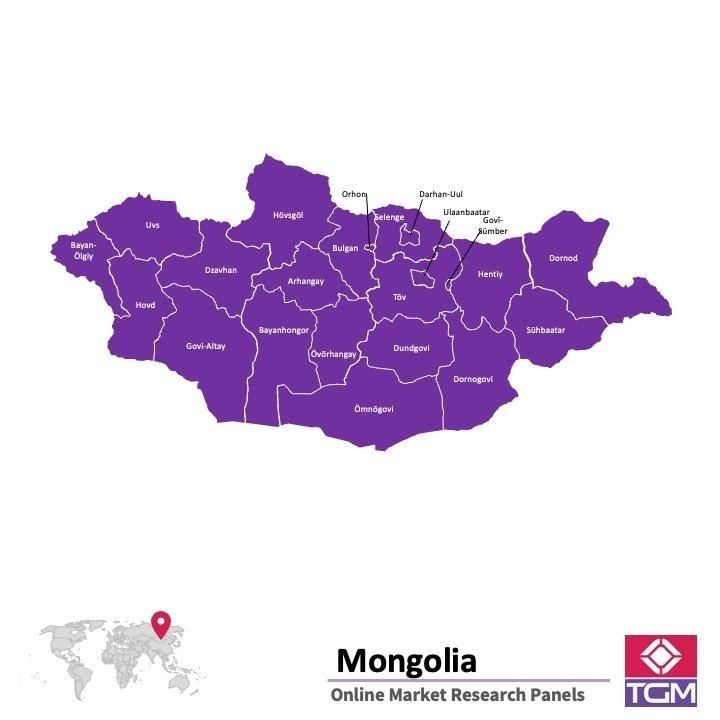 Online panel in Mongolia 