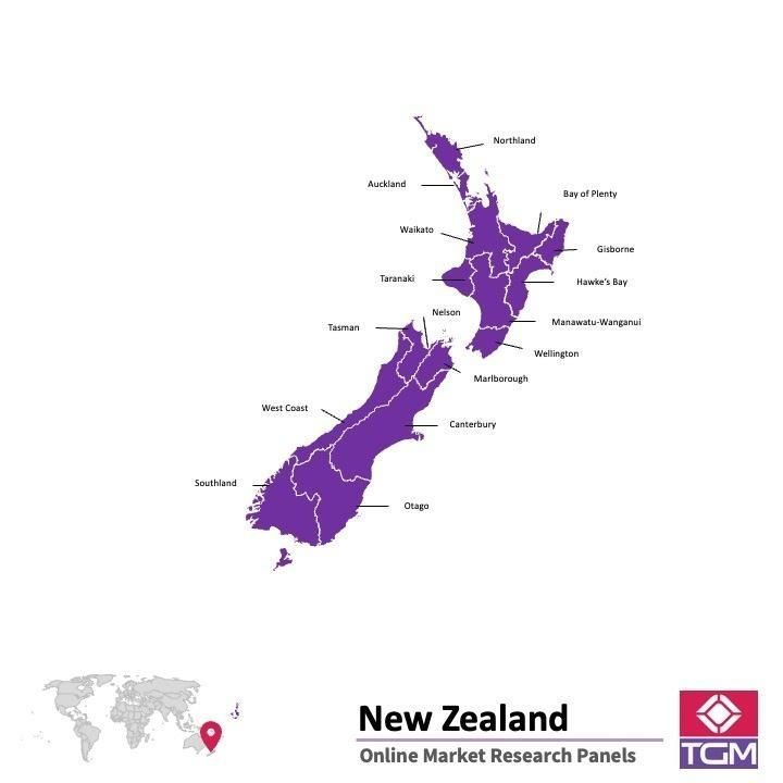 Online panel in New Zealand 