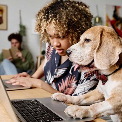 Pet Care E-commerce 2026: How Pet Humanization Is Driving Online Demand in Europe