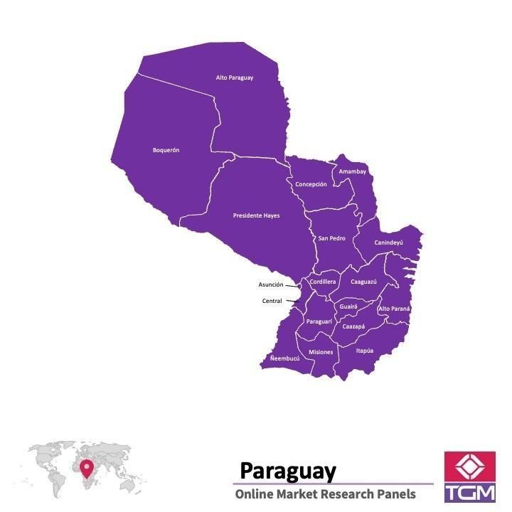 Online panel in Paraguay 