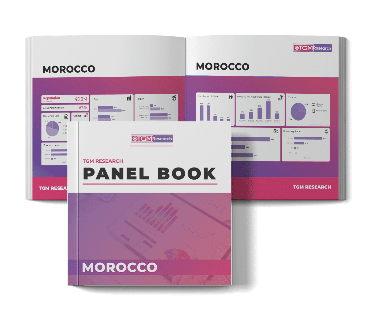 Panel Book Morocco Cover
