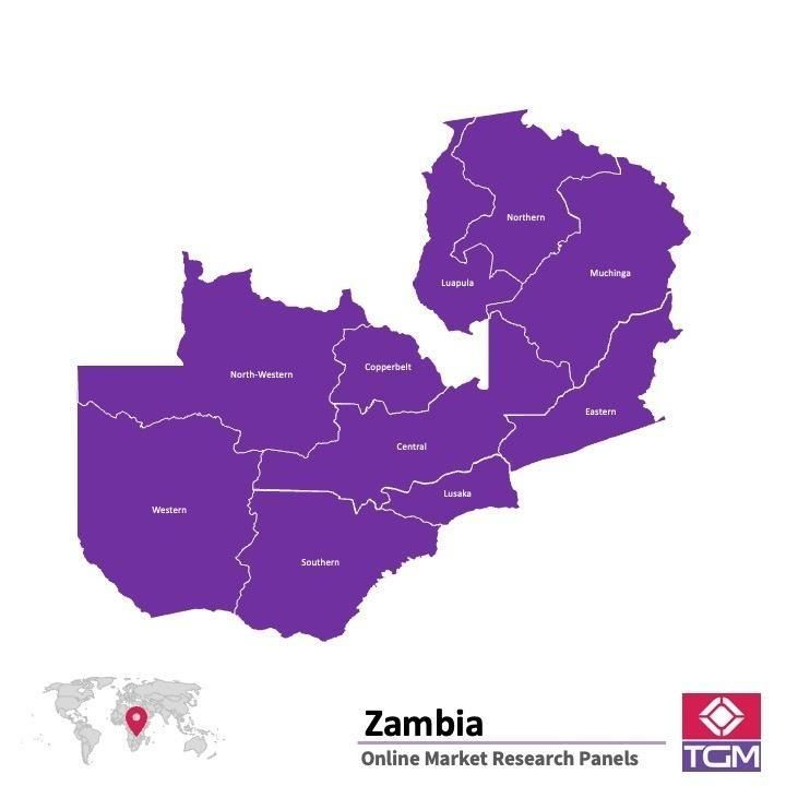 Online panel in Zambia 