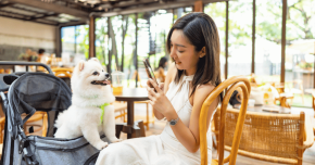 China&rsquo;s Growing Pet Spend: What Owners Are Paying For 