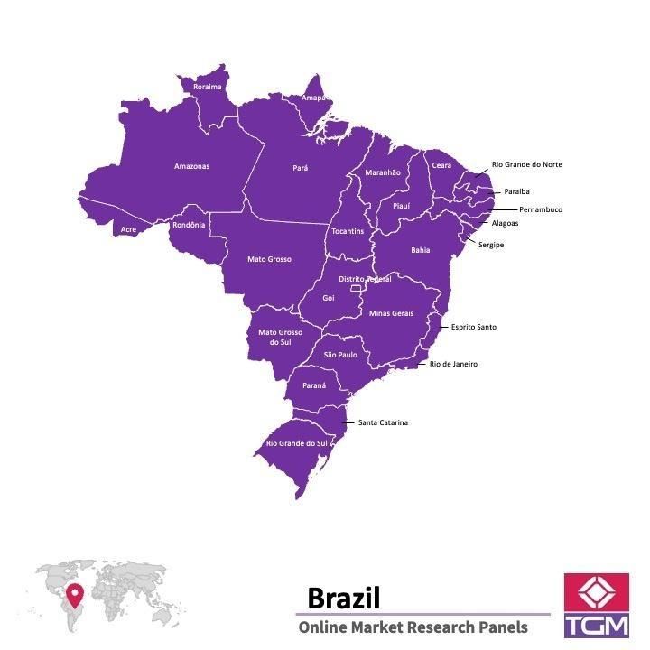 Online panel in Brazil 