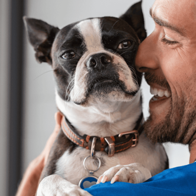TGM Pet Care Survey in Belgium: Data on Pet Care Behavior &amp; Ownership