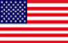 CHRISTMAS INSIGHTS 2024 Flag