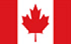 CHRISTMAS INSIGHTS 2024 Flag