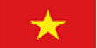 TGM Vietnam Cryptocurrency Insights 2024 Flag