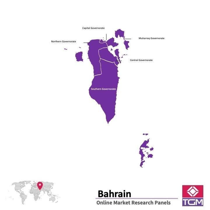 Online panel in Bahrain 